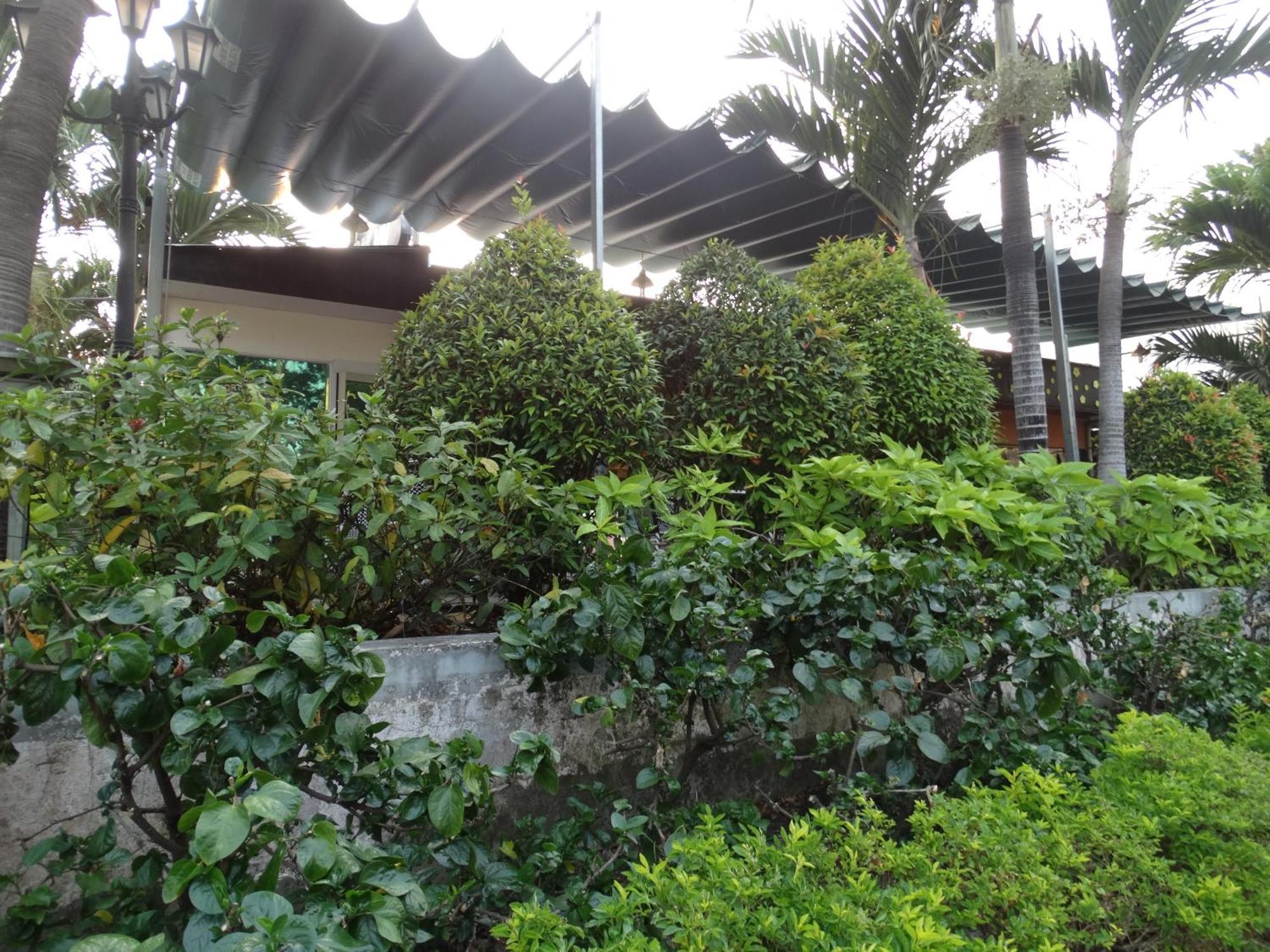 Hoai Pho Hotel Hô Chi Minh-Ville Extérieur photo